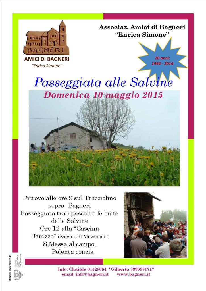 Salvine