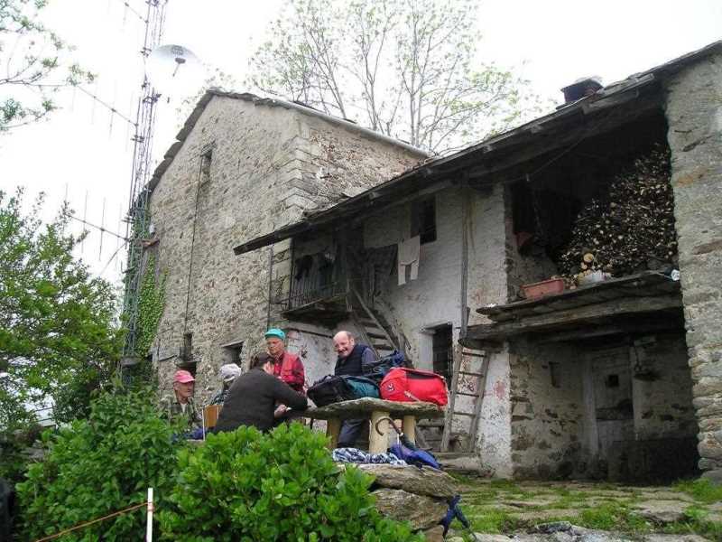 Salvine