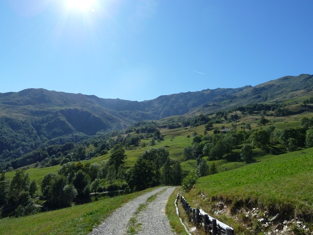 Salvine