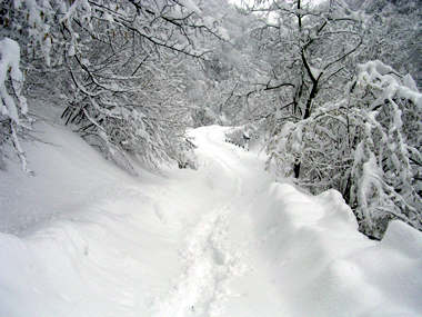 neve sulla strada per Bagneri - 20/2/04