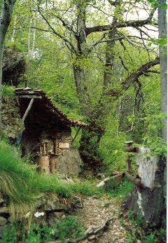 l'angolo di preghiera nel bosco
