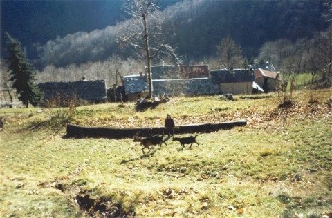 incontro con le caprette, appena sopra al borgo di Bagneri