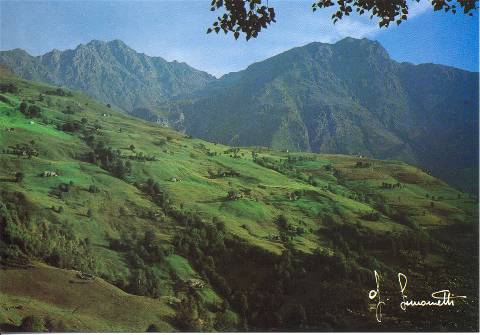 pascoli e cascine delle Salvine