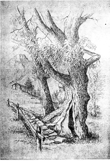 la pianta del castagno