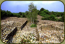 uno scorcio del sito archeologico della Bessa