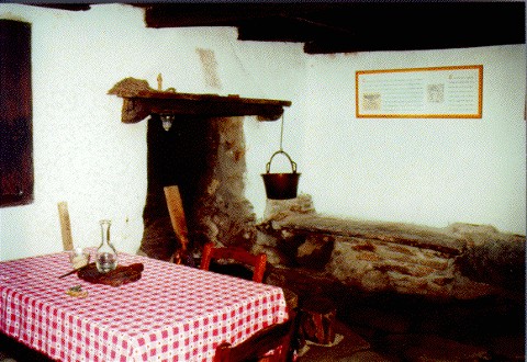 la cucina con l'accogliente camino