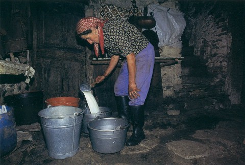 lavorazione del latte in cascina