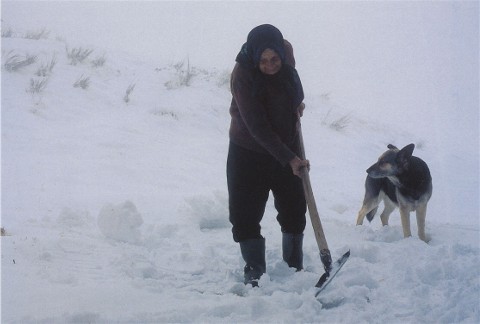 si spala la neve accanto alla casa, seguiti dall'inseparabile cane