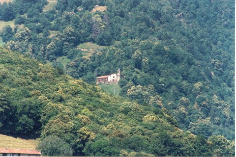 i boschi di castagne circondano il borgo di Bagneri
