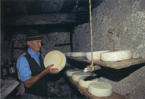 le tome vengono fatte maturare in locali freschi e umidi