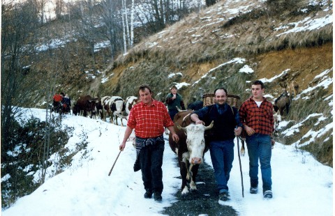 in testa alla mandria, gli allevatori (qui con un capo scout, al centro)