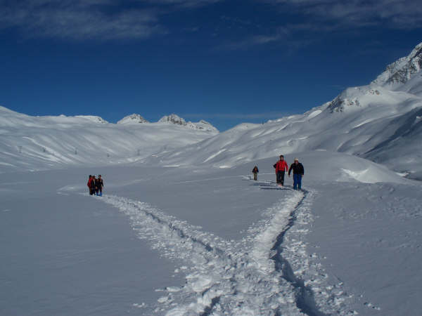 tracce sulla neve