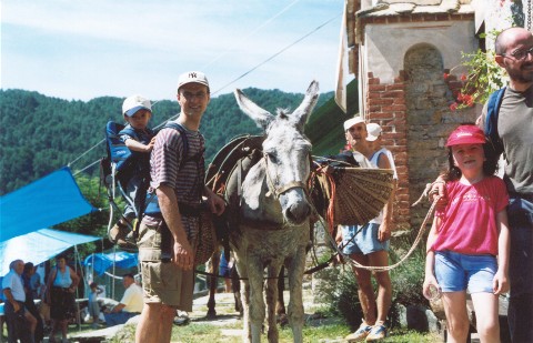 uno degli asinelli dell'Ecomuseo valle Elvo e Serra
