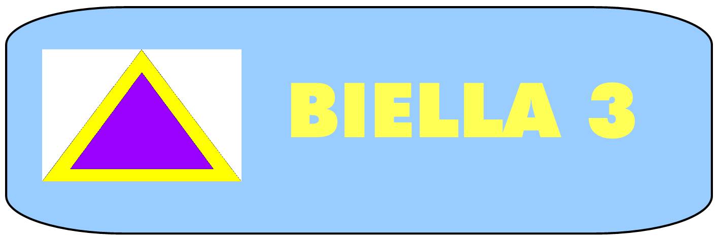 il gruppo scout Biella 3