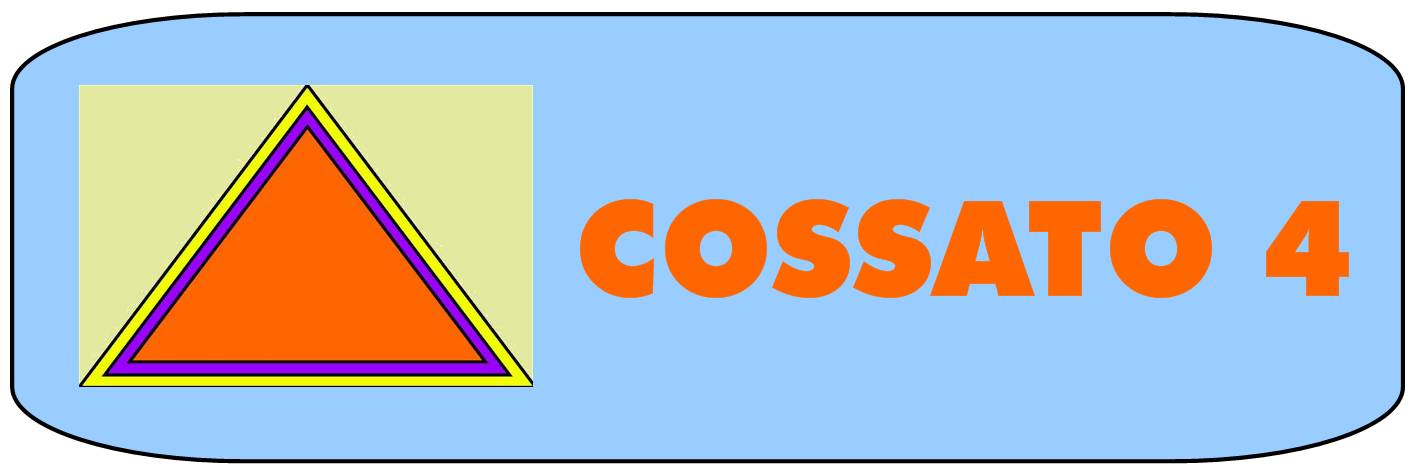 il gruppo scout Cossato 4