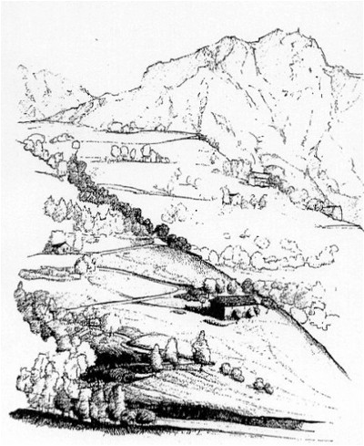 le Salvine in un disegno b/n di Raffaella Gamba