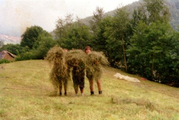 ragazzi al lavoro (!!!) sui prati 