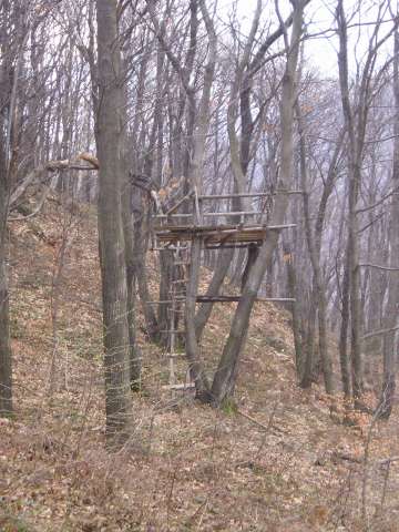 piattaforme sugli alberi realizzate dagli scout