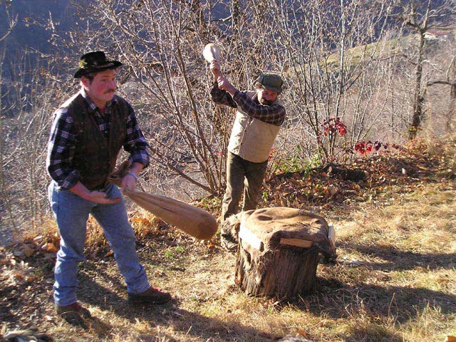 la battitura delle castagne (dicembre 2004)